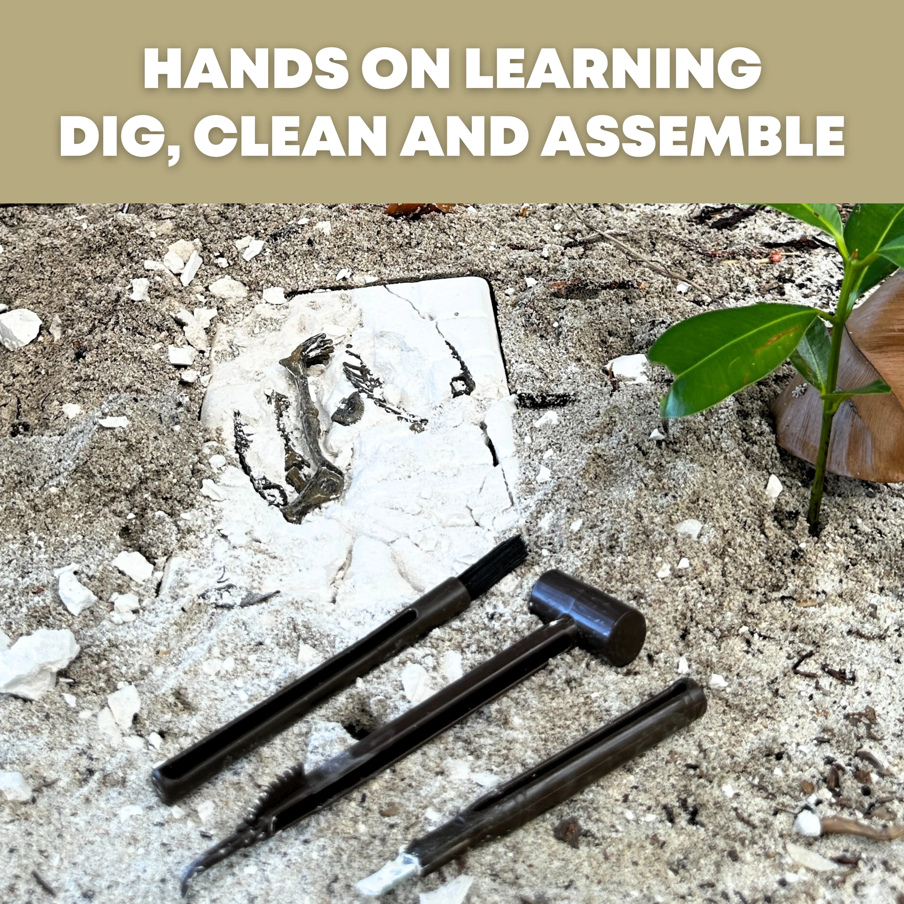 Dinosaur Excavation Kit - Image 2