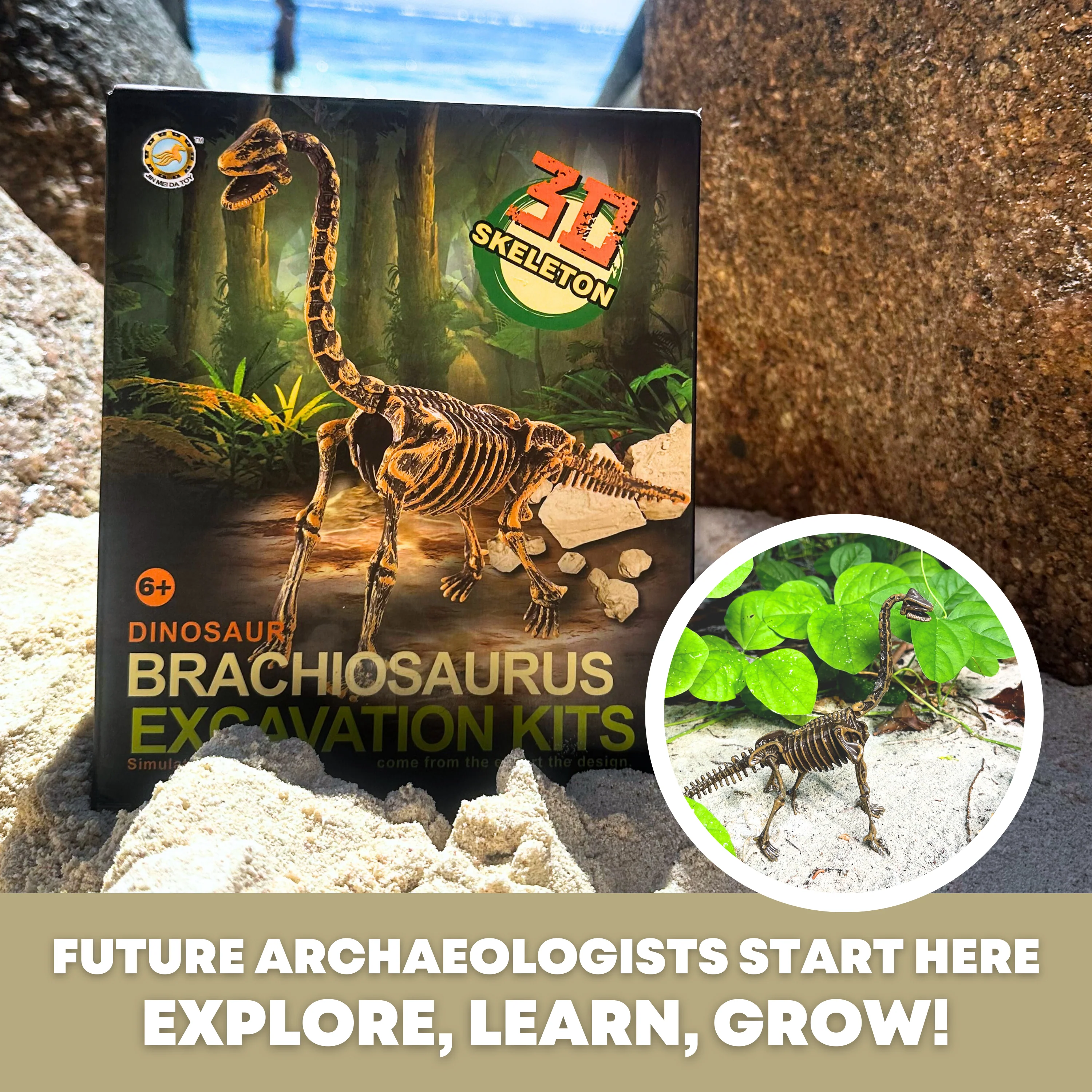 Dinosaur Excavation Kit - Image 3