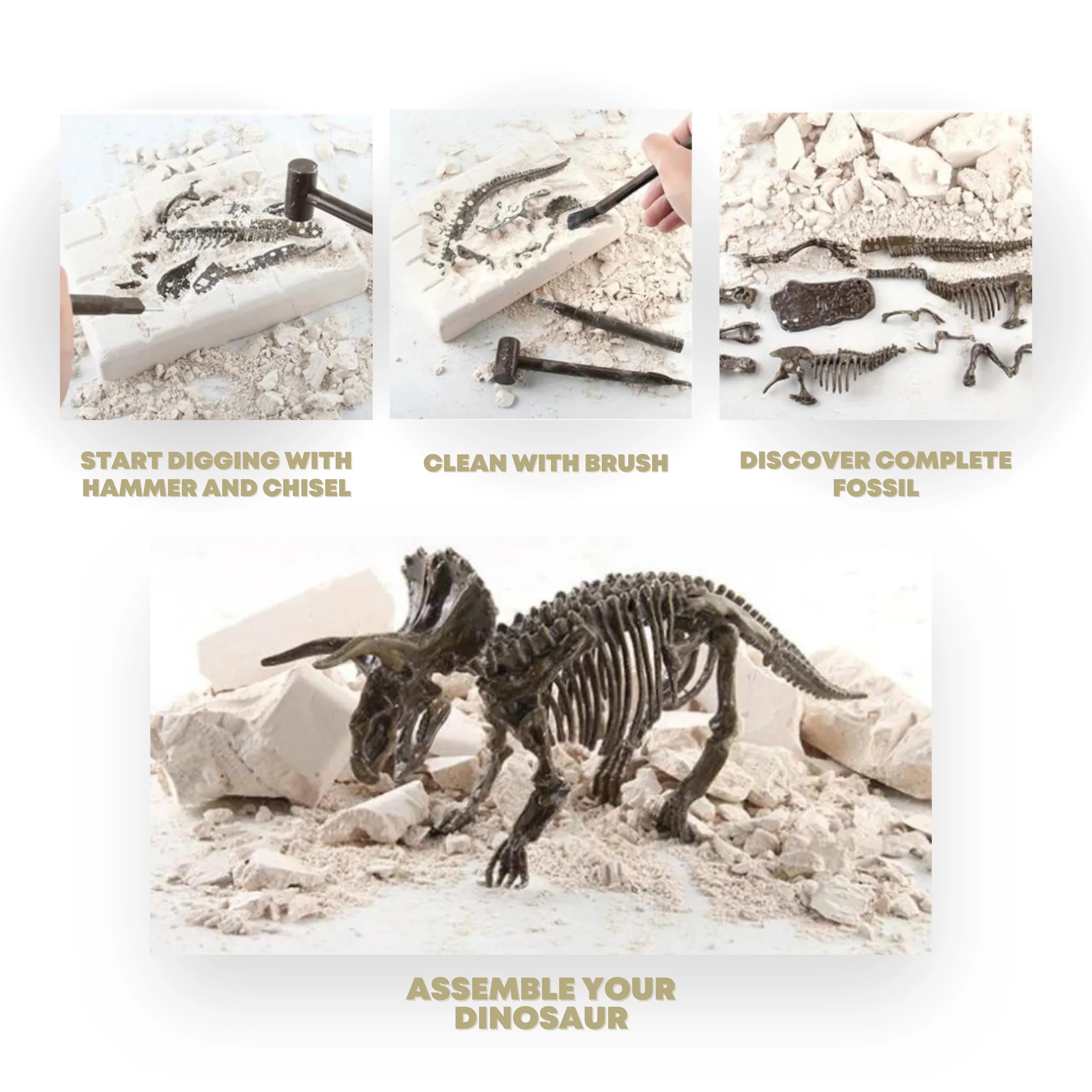 Dinosaur Excavation Kit - Image 4