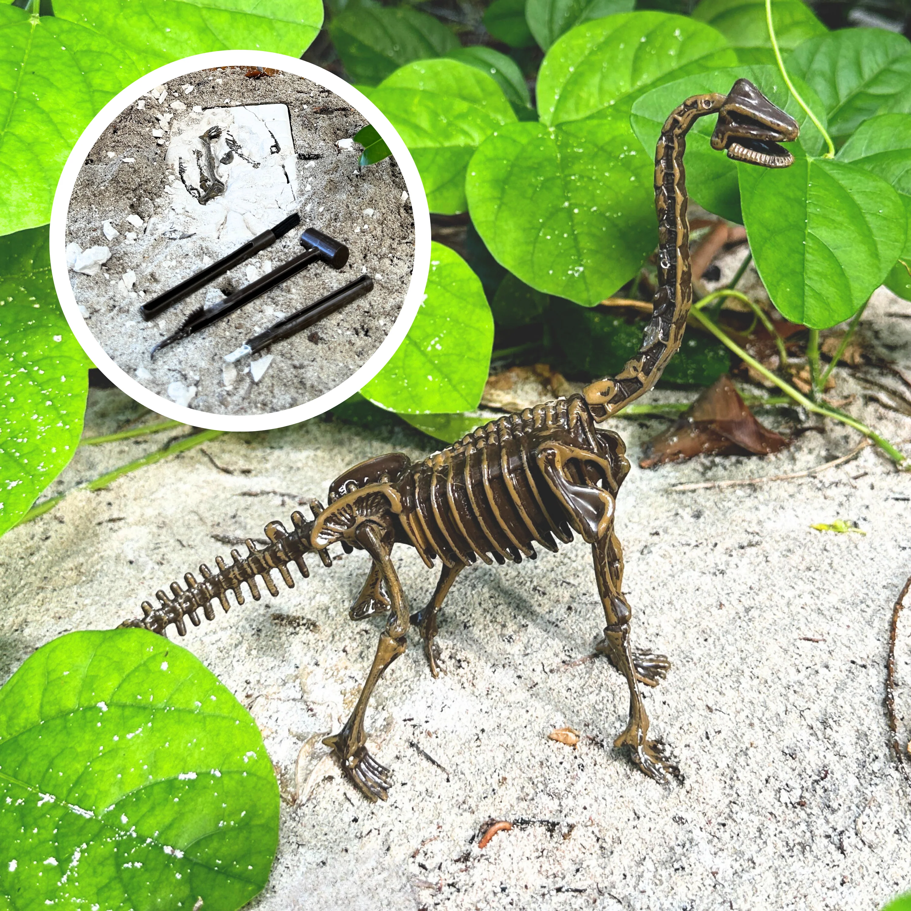 Dinosaur Excavation Kit - Image 5