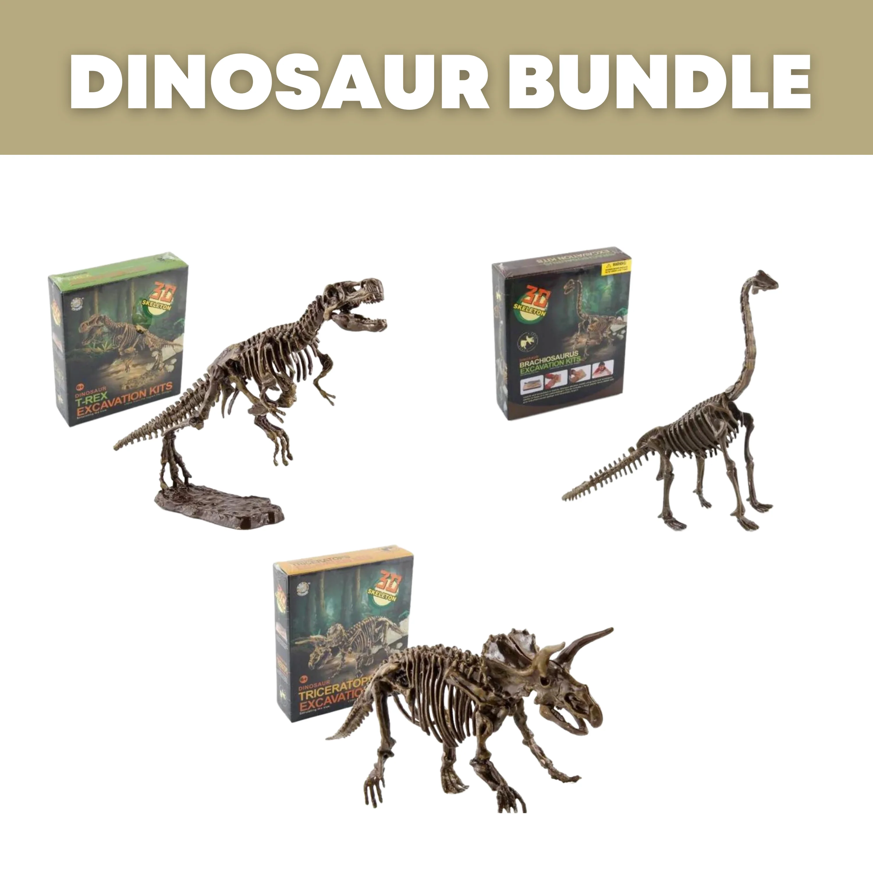 Dinosaur Excavation Kit - Image 9