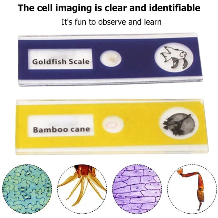 Pocket Microscope - Image 6