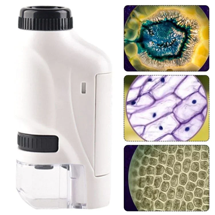 Pocket Microscope - Image 7
