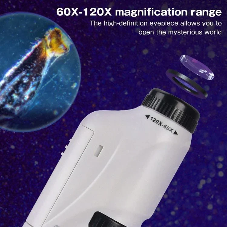 Pocket Microscope - Image 8